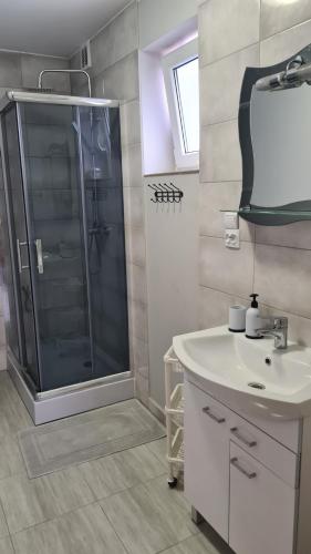 ZdunyPolna 40的一间带水槽和淋浴的浴室