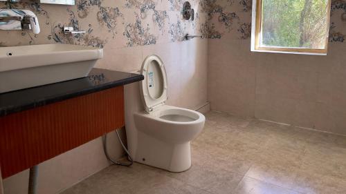 列城Rock Castle Residency的一间带卫生间和水槽的浴室