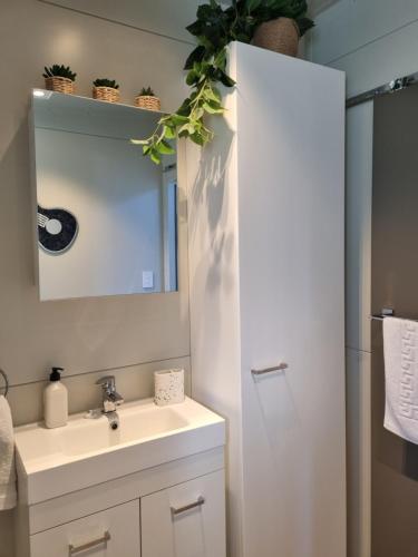 罗托鲁瓦PWL Healing Retreat Accommodation的一间带水槽和镜子的浴室
