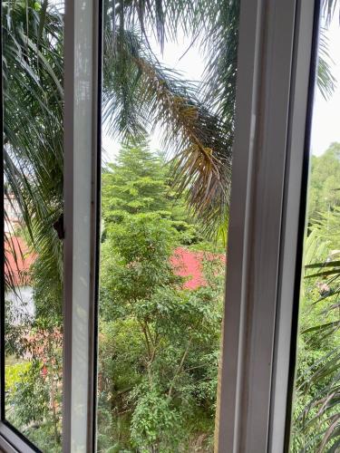 海阳Khách sạn Phương Đông的享有棕榈树景致的窗户