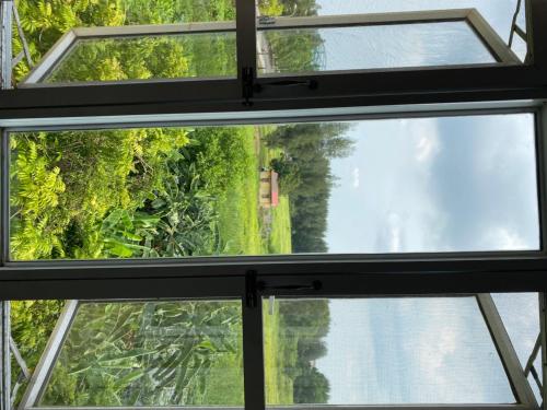 海阳Khách sạn Phương Đông的享有森林景致的开放式窗户