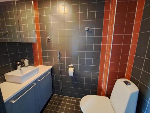拉普阿辛普森库拉斯公寓式酒店的一间带卫生间和水槽的浴室