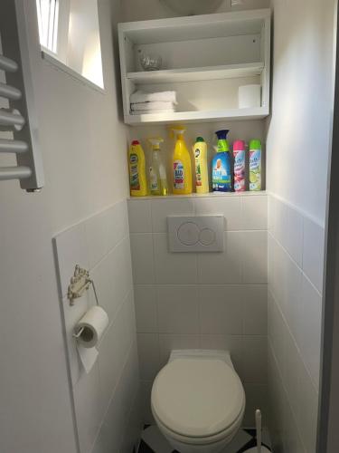 韦尔德Ferienwohnung in Werder Havel Innenstadt的浴室设有卫生间和各种清洁产品。
