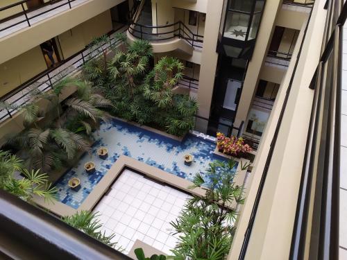 库里提巴Studio do Bosque的享有带游泳池和棕榈树的大楼的顶部景致
