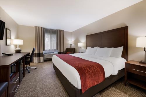 奥那拉斯加Comfort Inn Onalaska - La Crosse Area的酒店客房设有一张大床和一张书桌。