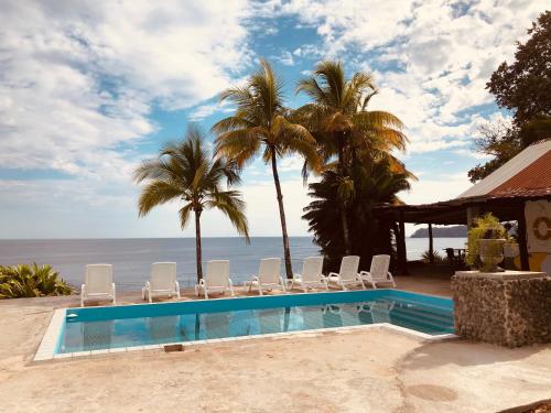 圣卡塔利娜岛OceanFront Bungalows - Paradise Rentals的一个带椅子的游泳池,背景是大海