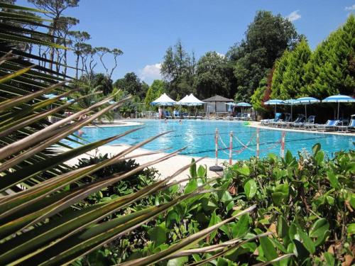 维亚雷焦Mobile home / Chalet Viareggio - Camping Paradiso Toscane的一个带椅子和遮阳伞的大型游泳池