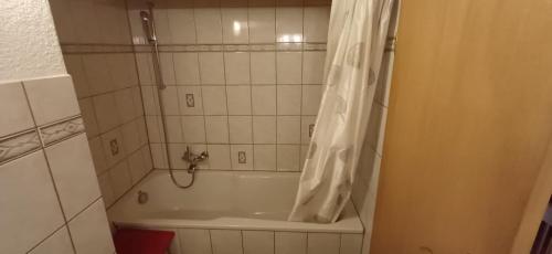 安德马特迷人瑞士安德马特姆屋的带浴缸和淋浴帘的浴室