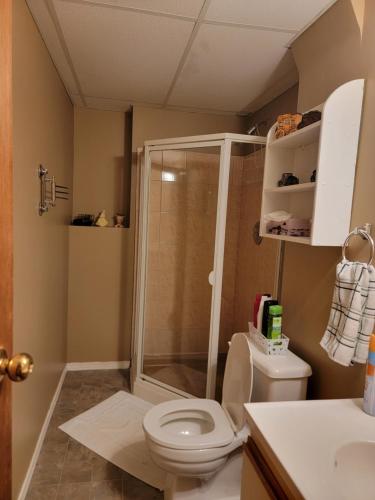坎卢普斯Charming - 2 bedrooms basemnt, 1 full bath & rec room的带淋浴和卫生间的浴室