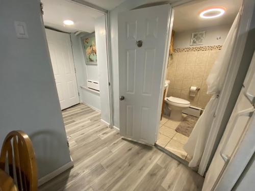 西纽约West NewYork NJ Cozy 2bed apt backyard to stay的一间带卫生间、水槽和镜子的浴室