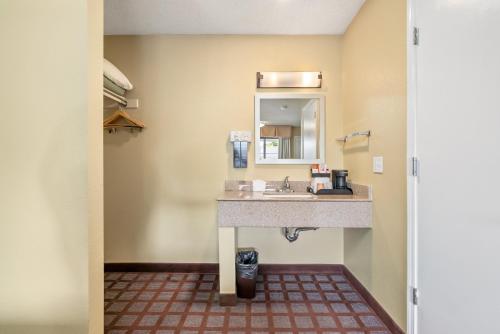 圣路易斯-奥比斯保圣路易斯-奥比斯保市中心大道酒店的一间带水槽和镜子的浴室