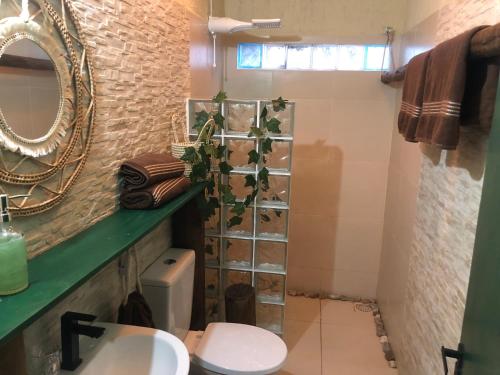 卡姆布库Casita Cumbuco的一间带卫生间和镜子的浴室