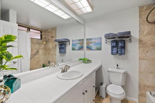 利胡埃Ground floor Banyon Harbor的一间带水槽、卫生间和镜子的浴室