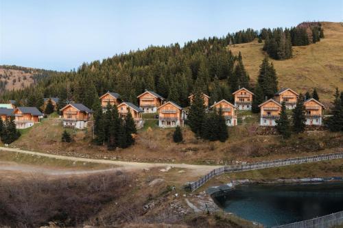 ElsenbrunnHoliday home in Stefan in the Lavanttal with balcony的山丘上一群房子,有池塘