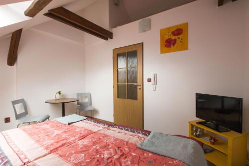 特热什季拉桑纳旅馆的一间卧室配有一张床和一台平面电视