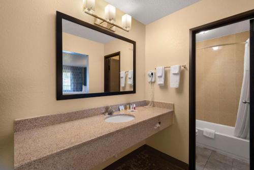 牛顿牛顿戴斯酒店的一间带水槽和镜子的浴室