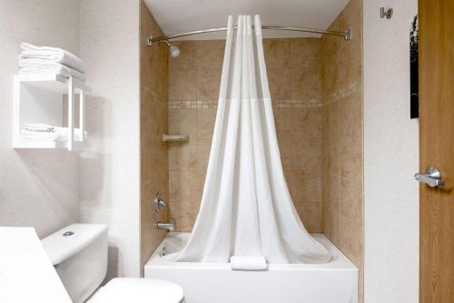 杜兰戈杜兰戈汉普顿酒店的浴室设有白色的淋浴帘和卫生间
