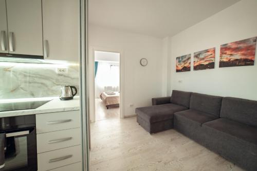 雅西COZY APARTHOTEL - Ultracentral Luxury Apartments Iasi的带沙发的客厅和厨房