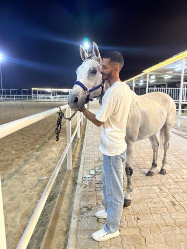 杰拉什Abuawad Rental的围栏旁边拿着马的人