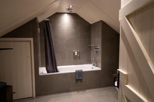 戴德姆密斯欧米斯酒店的带浴缸和淋浴的浴室