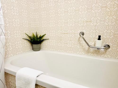 苏黎世New Studio with sunny terrace的浴室设有白色浴缸和墙上的植物