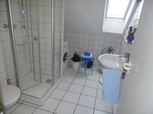 美因茨City-Dachapartment Mainz的带淋浴、盥洗盆和卫生间的浴室