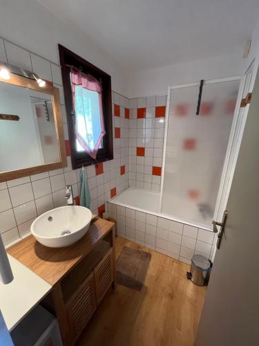 乌弗奈特弗斯Studio avec magnifique vue montagne - Praloup 1500的一间带水槽和淋浴的浴室