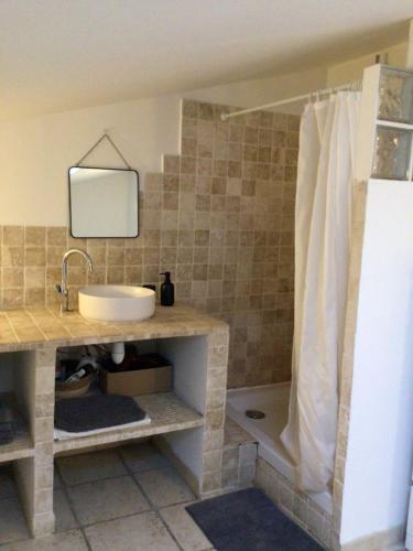 Grosseto-PrugnaCasa San Carlu的一间带水槽和淋浴的浴室