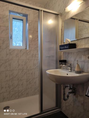 Imsterberggroassehof Haus Gstrein的一间带水槽和淋浴的浴室