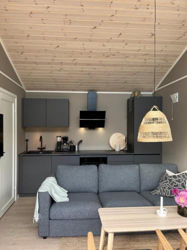 IsfjordenKavliskogen panorama的一间带蓝色沙发的客厅和一间厨房