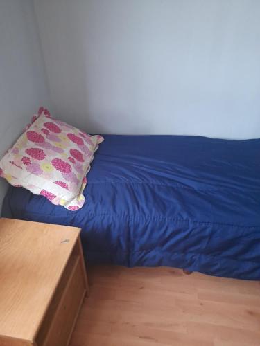乌斯怀亚Alojamiento económico的一张带枕头和木桌的蓝色床