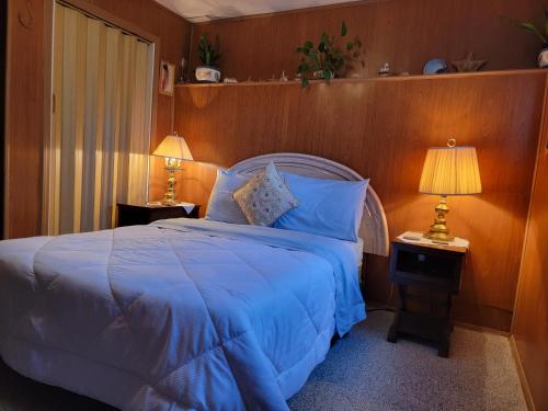 坎卢普斯Charming - 2 bedrooms basemnt, 1 full bath & rec room的一间卧室配有一张带蓝色床单的床和两盏灯。