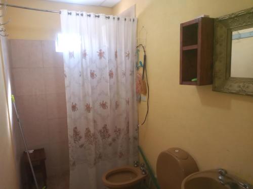 埃尔莫拉尔La Griselda的浴室配有白色的浴帘和卫生间