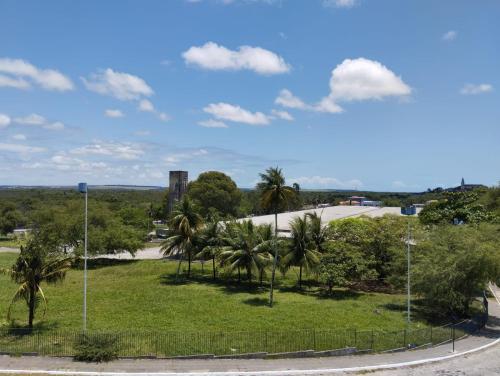 若昂佩索阿Hotel Ouro Preto的棕榈树公园和道路公园