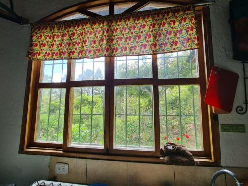 JuayúaCasa de campo amplia y tranquila的厨房的窗户享有树木的景致