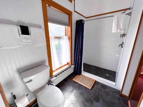 德卢斯Endion Inn的一间带卫生间和淋浴及窗户的浴室