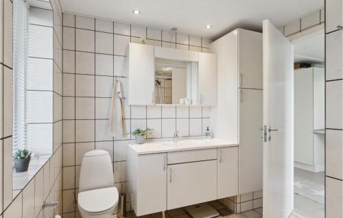 伊斯科博约格5 Bedroom Beautiful Home In Eskebjerg的白色的浴室设有卫生间和水槽。