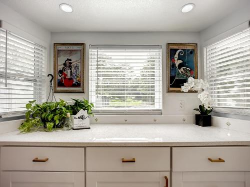 杰克逊维尔Trout River Oasis的厨房配有白色橱柜和2扇窗户。