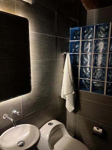 RodaderoSACRAMENTO的浴室配有白色卫生间和盥洗盆。