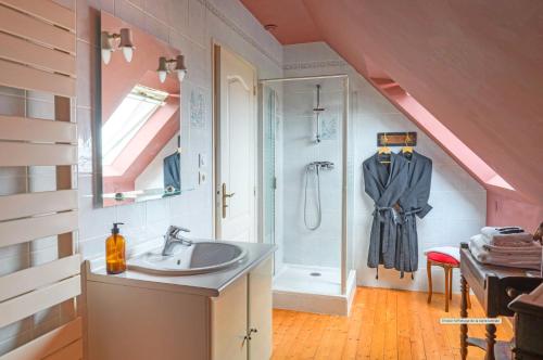 Saint-CoulitzLes Pierres Bleues的一间带水槽和淋浴的浴室