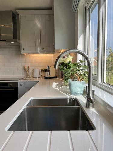 BentleyDell View - Charming & Cosy的厨房配有不锈钢水槽和窗户