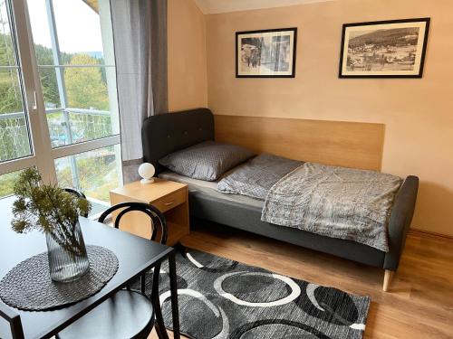 哈拉霍夫Apartmány Gryf Harrachov的小房间设有床、桌子和桌子。