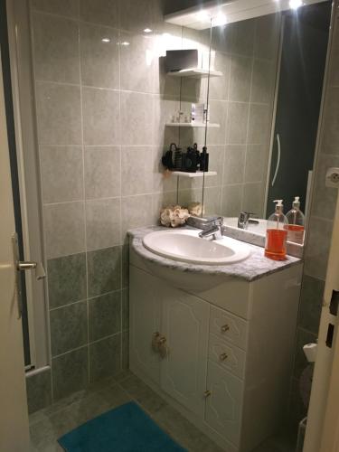 维拉尔-德朗Appartement cocooning的一间带水槽和淋浴的浴室