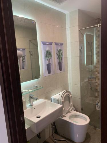 胡志明市BIN’S HOUSE的一间带水槽、卫生间和镜子的浴室
