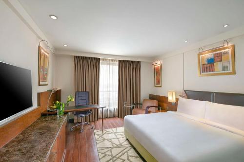 新德里德里机场丽笙世嘉酒店的配有一张床和一台平面电视的酒店客房