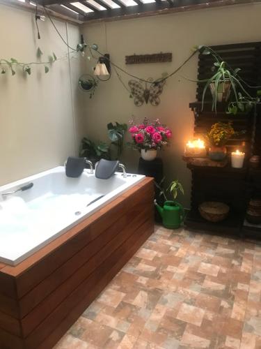 利马Apartamento 3 Habitaciones Lima, Perú (Magdalena del Mar)的盆栽的房间里设有浴缸