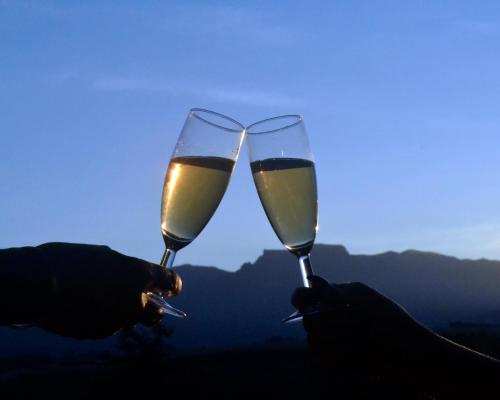 香槟谷耐斯特德拉肯斯山庄度假酒店的两人拿着酒杯