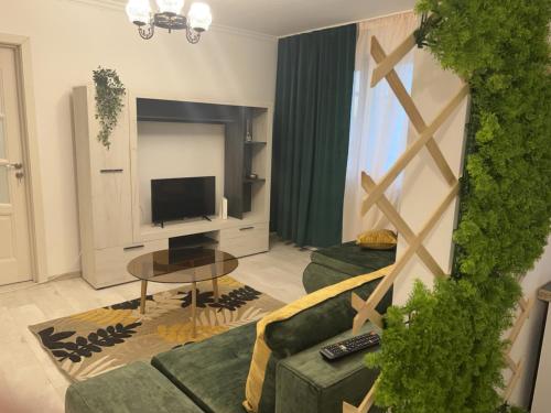 巴克乌Green Apartament的带沙发和电视的客厅