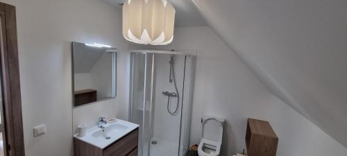 DéolsMaison DEOLS centre pour 1 a 2 personnes的带淋浴和盥洗盆的白色浴室