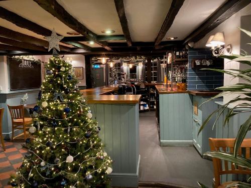 埃克塞特Blue Ball Inn, Sandygate, Exeter的酒吧中间的圣诞树